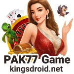 PAK77 Game main character artwork with game-themed icons and kingsdroid.net branding.